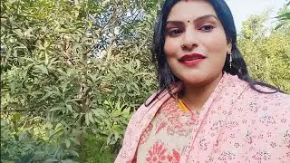 Mere Bagiche Mein Aam, Chiku, Bel Aur Kathal Ke Phal Bhare Ped 🥭🍐🌿 🌸🌱