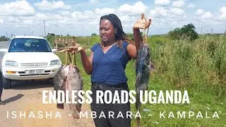 Endless Roads Uganda | Ishasha - Mbarara - Kampala