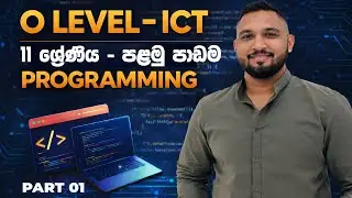 Programming | O Level ICT | 11 ශ්‍රේණිය - පළමු පාඩම