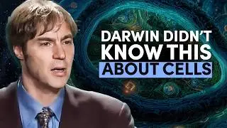 Intelligent Design Explained: Why Life Looks Designed...Because It Is