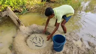 A village boy's unique fishing method in a primitive way || Fishing video 