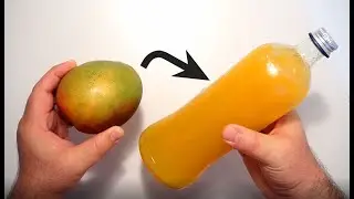 كيف تحول المانجو الى شراب مركز بنكهه قويه ومنعشه