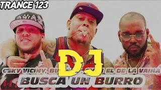 Bulin 47 Dj Song | Busca Un Burro Dj |Ceky VicinyDj| Bulin New Dj Song | Hard Bass | Trance 123
