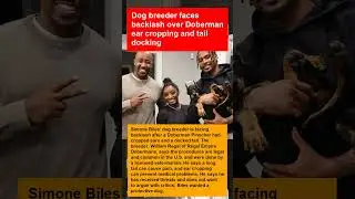 Dog breeder faces backlash over Doberman ear cropping and tail docking