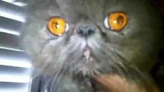VID 00006 20100504 1814