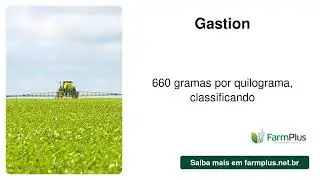 Conheça o GASTION: O Inseticida Fumigante Eficiente e Seguro