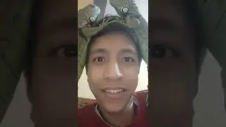 I have two iguana 🦎
