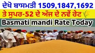 Basmati paddy price basmati 1692 1847 1509 super-52 mandi rate tmb info basmati mandi bhav today