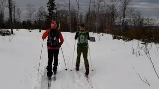 Jaworzyna Krynicka (Beskid Sądecki) - narty backcountry
