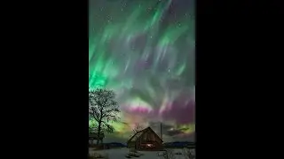 Best of 2023 Vertical 4K
