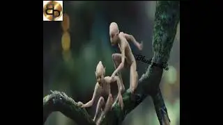 the witch try to kill the princess in the magical wood/the hunters man/