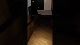 #kingwoolz on #Twitch | Creepy Crawly