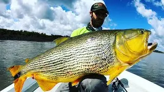 THEY HIT on TOPWATER!!