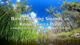 Bird and Frog Sounds at Kookaburra Pool. 8 Hours for Sleep, Relaxation, Meditation.