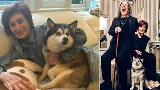 Sharon Osbourne suffers another devastating loss as her beloved dog Elvis passes away after Ozzie 
