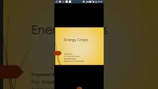 Energy crops