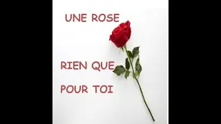UNE ROSE RIEN QUE POUR TOI