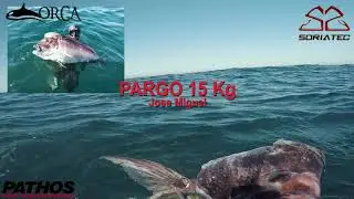 meros y pargos
