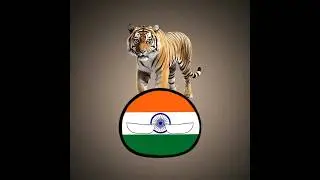 Countries National Animal 💀|| #trending #india #shorts #countryballs edit