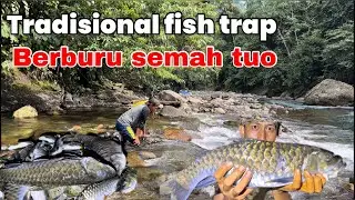 Ada Penampakan?? Camping Berburu Ikan Semah Membuat Perangkap Ikan Tradisional Fish Trap