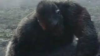 Godzilla &times; Kong: The New Empire [2024] - Stone Fist Screen Time