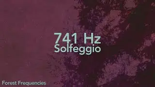 741 Hz Healing Frequency | Detox, Mental Clarity & Inner Cleansing | 3 Hours