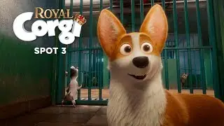 Royal Corgi - Spot 3