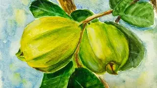 Watercolor tutorial |Painting guava easy | #artshorts #guavafruit 