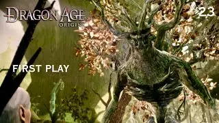 Hello, Grand Oak! | Dragon Age Origins | First Playthrough | Paper Plays! | Episode 23