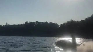 Jet ski gti 130 remapeado pau no novo gti 170