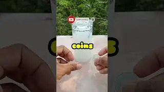 Surface Tension | Amazing soap water surface tension experiments | Easy experiments #experiment