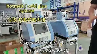 Professional Hot Melt & Cold Glue Spray System for Packaging Machines