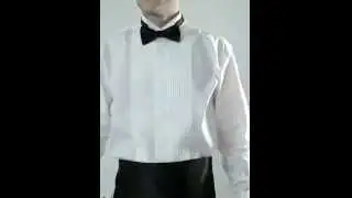 Wing Collar, Pleated Front Dress Shirt by Alexander Dobell