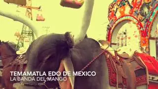 En temamatla 2015