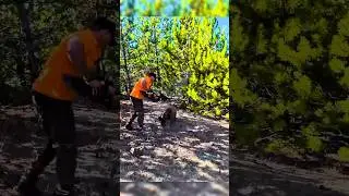 🐗 Охота на дикого кабана &mdash; вау! Удивительно, вот это настоящие охотники!#BoarHunt #WildHunting