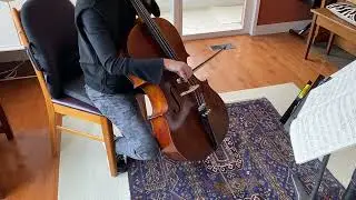 Bohemian Student Cello - Sound Sample