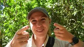 So long Mara, hello next adventure! | WILDwatch Virtual Safari 69