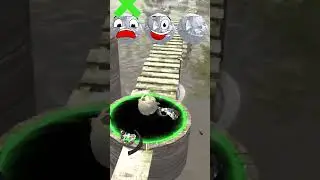Which White Ball is the Best?