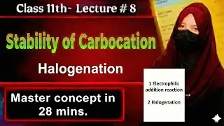 Stability of carbonation || Halogenation of Alkenes || 11th #chemistry | ch#11