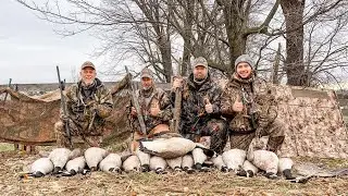 &ldquo;Double Rainbow = Double Banded Goose&rdquo;