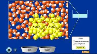 Solutes in Water (Salt vs Sugar)
