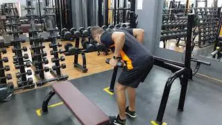 TR&Iacute;CEPS COICE SIMULTANEO HALTER