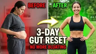 3-Day Gut Reset That Actually Works (Science-Backed Protocol)