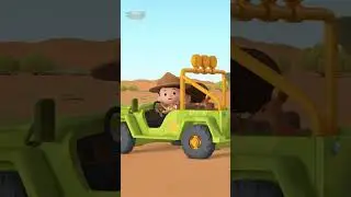 WATCH OUT FOR THE KANGAROO! 🦘 | Leo the Wildlife Ranger | Kids Cartoon | #shorts