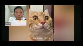 You LAUGH  you eat the #JELLY BEAN challenge Part 1