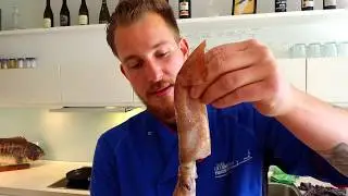 Kend din Fisk nr. 11 
