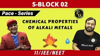 S-Block 02 | Chemical Properties of S Block Elements | Class 11 | JEE | NEET | PACE SERIES