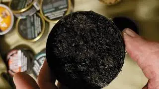 Black Buffalo dip verses fully loaded dip