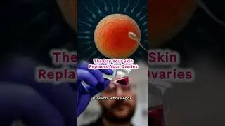 Future of Fertility', &ldquo;AI Power&rdquo;