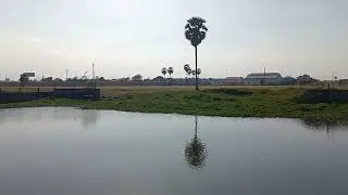 Fishing Techniques Harvesting Catfish:  Countryside 